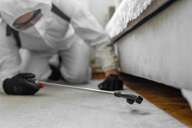 Professional Ant Control technician working in Bay City, OR